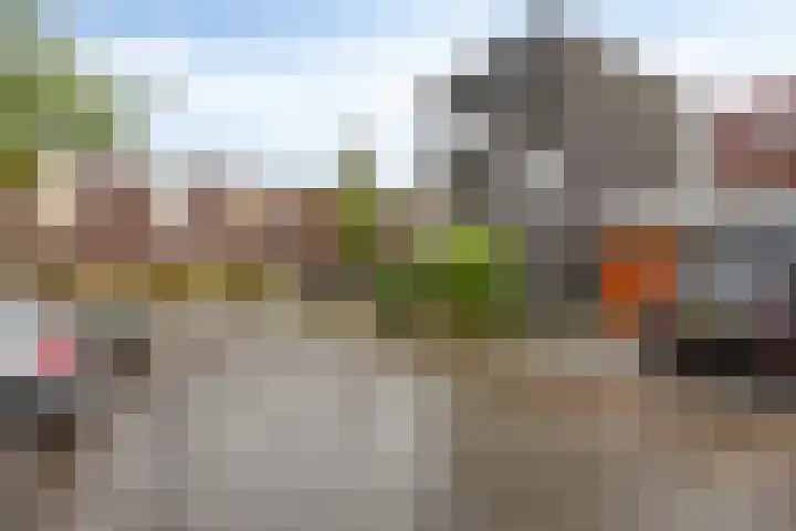 Grassnip 38 Eindhoven thumbnail 6