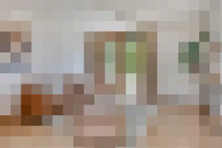 Grasveld 30 Eindhoven thumbnail 14