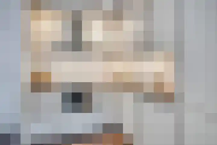 Grasveld 30 Eindhoven thumbnail 17