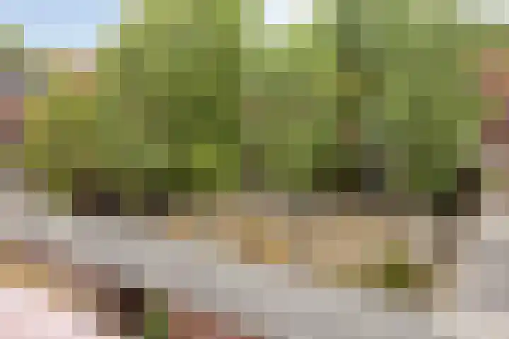 Grasveld 30 Eindhoven thumbnail 37