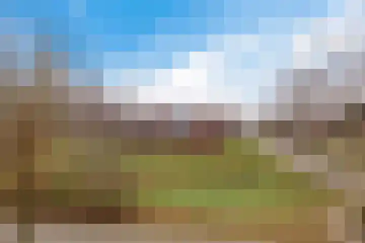 Grasveld 96 Eindhoven thumbnail 17