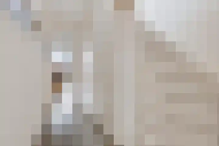 Grasveld 96 Eindhoven thumbnail 21