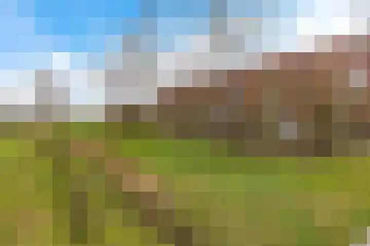Grasveld 96 Eindhoven thumbnail 33
