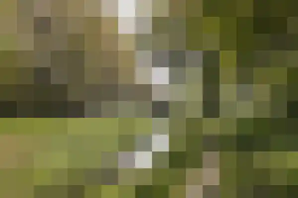 Grasveld 96 Eindhoven thumbnail 34