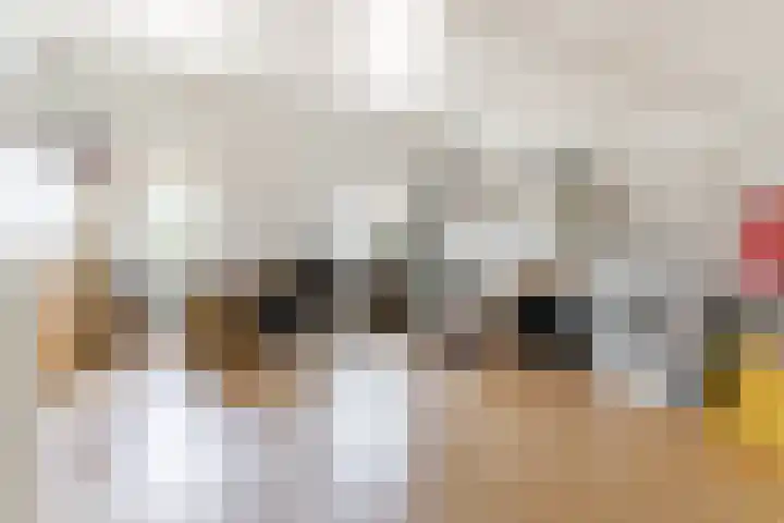 Grasvink 49 Eindhoven thumbnail 29