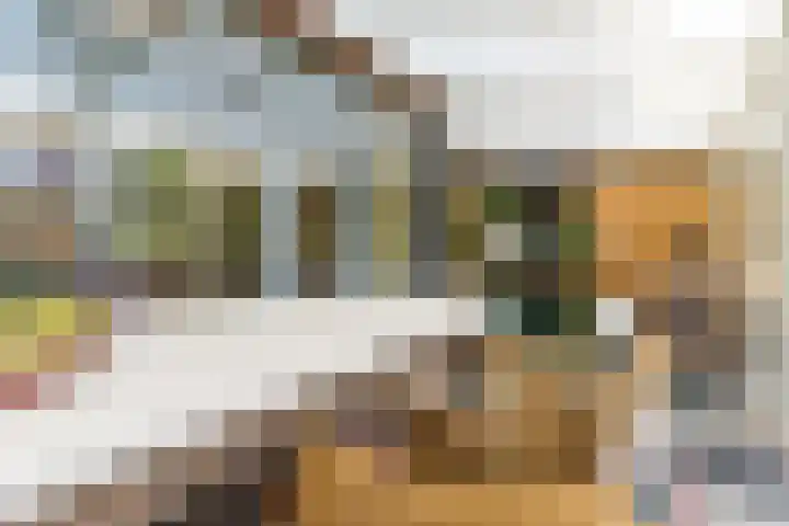 Grasvink 49 Eindhoven thumbnail 30