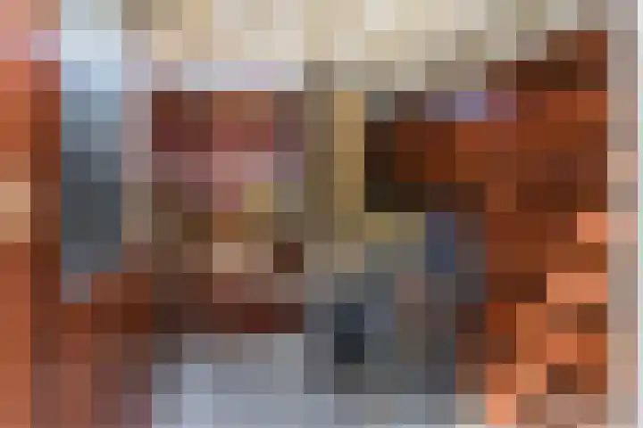 Grasvink 49 Eindhoven thumbnail 36
