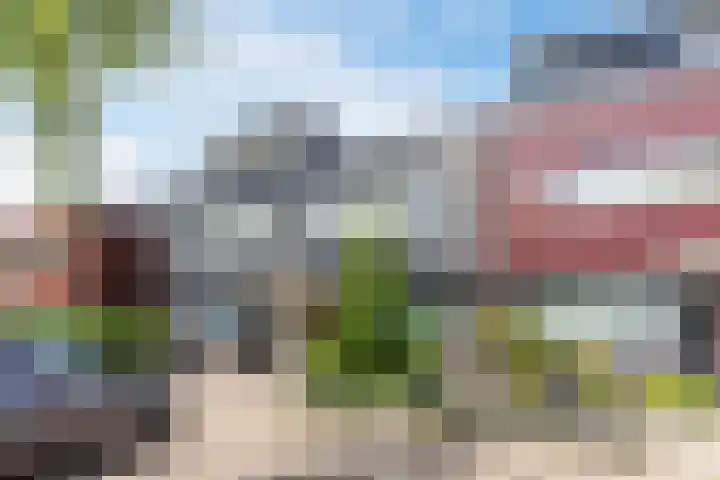 Grasvink 49 Eindhoven thumbnail 37