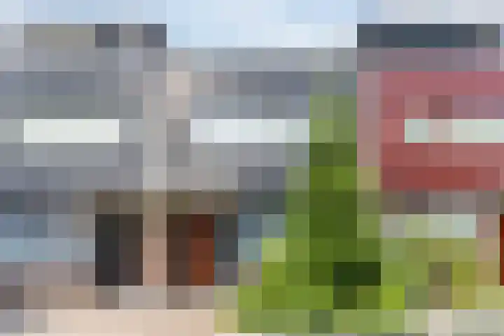 Grasvink 49 Eindhoven thumbnail 45