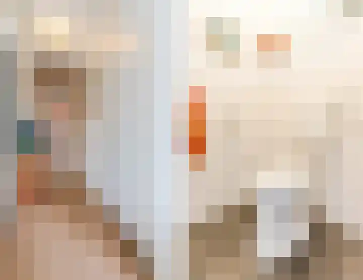 Grasvink 49 Eindhoven thumbnail 8