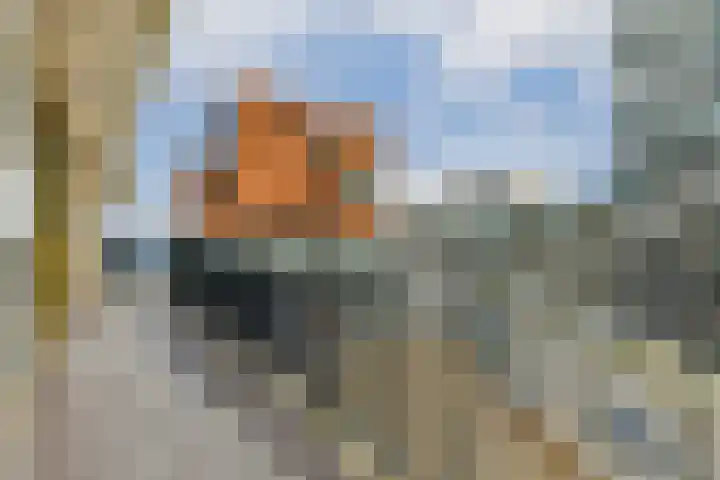 Grasweg 163 Amsterdam thumbnail 15