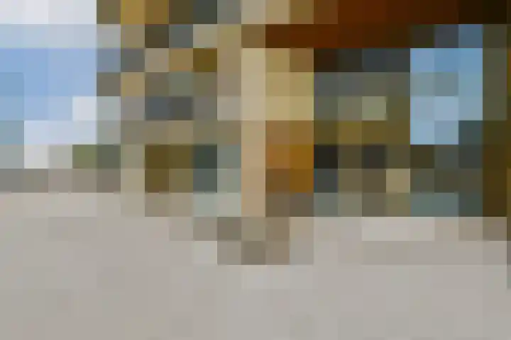 Grasweg 163 Amsterdam thumbnail 5