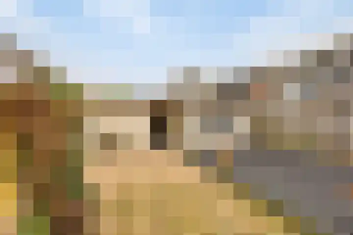 Gratenbogerd 45 Gameren thumbnail 27