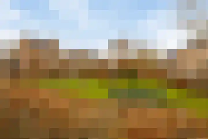 Gratenbogerd 45 Gameren thumbnail 36