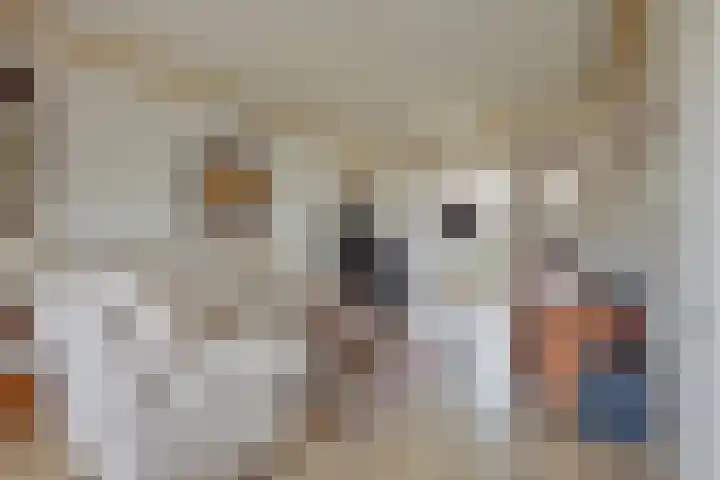 Gratenbogerd 45 Gameren thumbnail 7