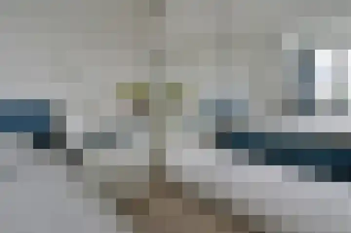 Grauwe Gans 48 Uithoorn thumbnail 12