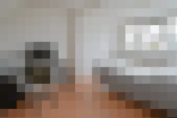 Grauwe Gans 48 Uithoorn thumbnail 17