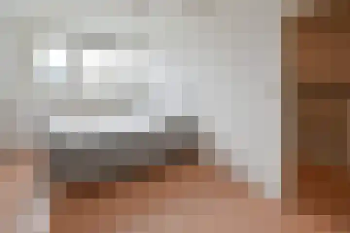 Grauwe Gans 48 Uithoorn thumbnail 18
