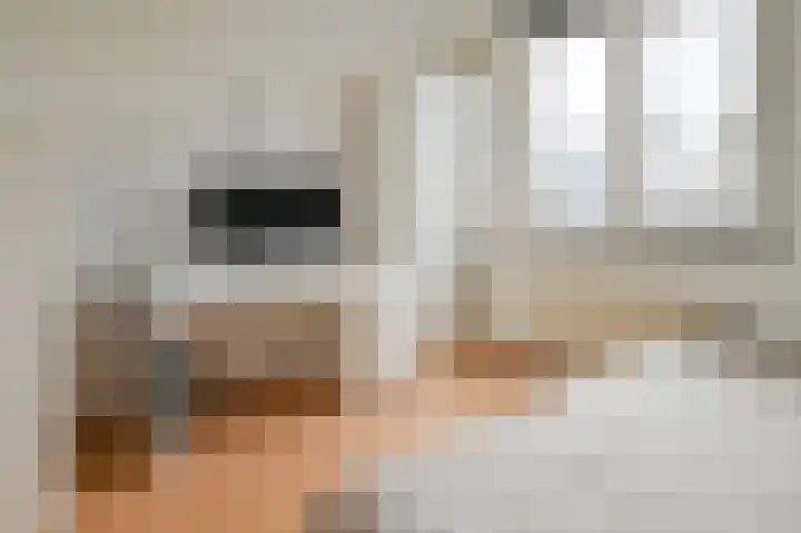 Grauwe Gans 48 Uithoorn thumbnail 19