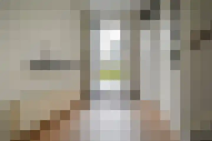 Grauwe Gans 48 Uithoorn thumbnail 20