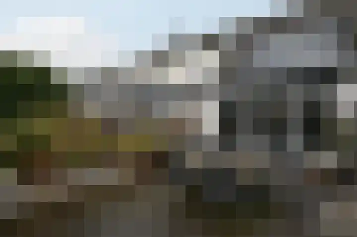 Grauwe Gans 48 Uithoorn thumbnail 23