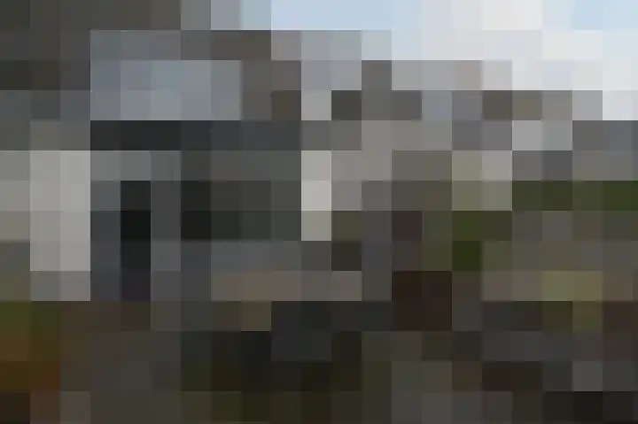 Grauwe Gans 48 Uithoorn thumbnail 24