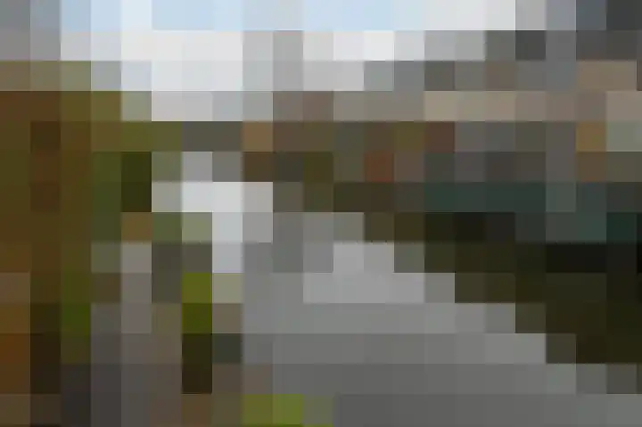 Grauwe Gans 48 Uithoorn thumbnail 25