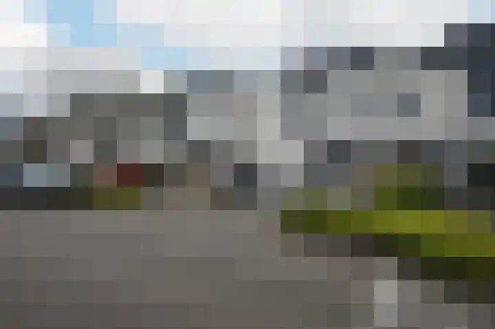 Grauwe Gans 48 Uithoorn thumbnail 27