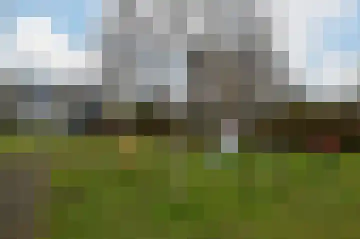 Grauwe Gans 48 Uithoorn thumbnail 29