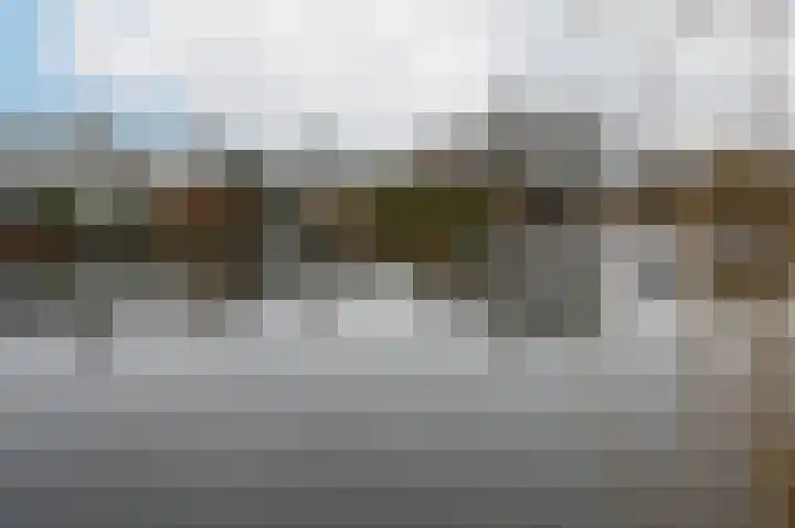Grauwe Gans 48 Uithoorn thumbnail 30