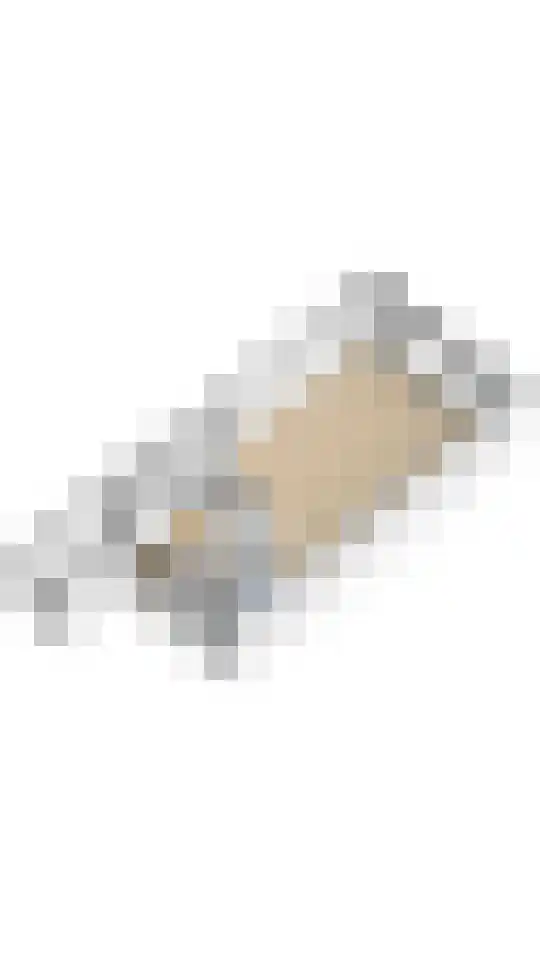 Grauwe Gans 48 Uithoorn thumbnail 34