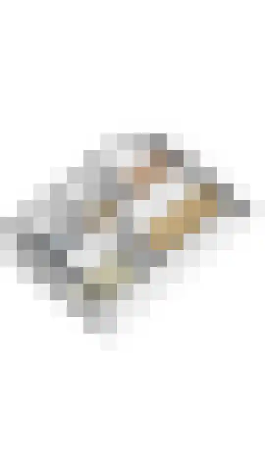 Grauwe Gans 48 Uithoorn thumbnail 36