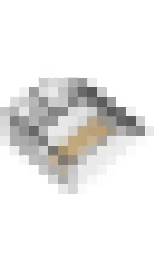 Grauwe Gans 48 Uithoorn thumbnail 38