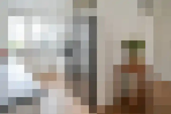Grauwe Gans 48 Uithoorn thumbnail 4