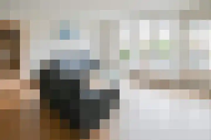 Grauwe Gans 48 Uithoorn thumbnail 7
