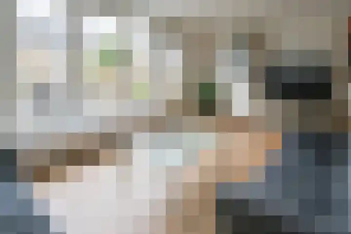 Grauwe Gans 48 Uithoorn thumbnail 8