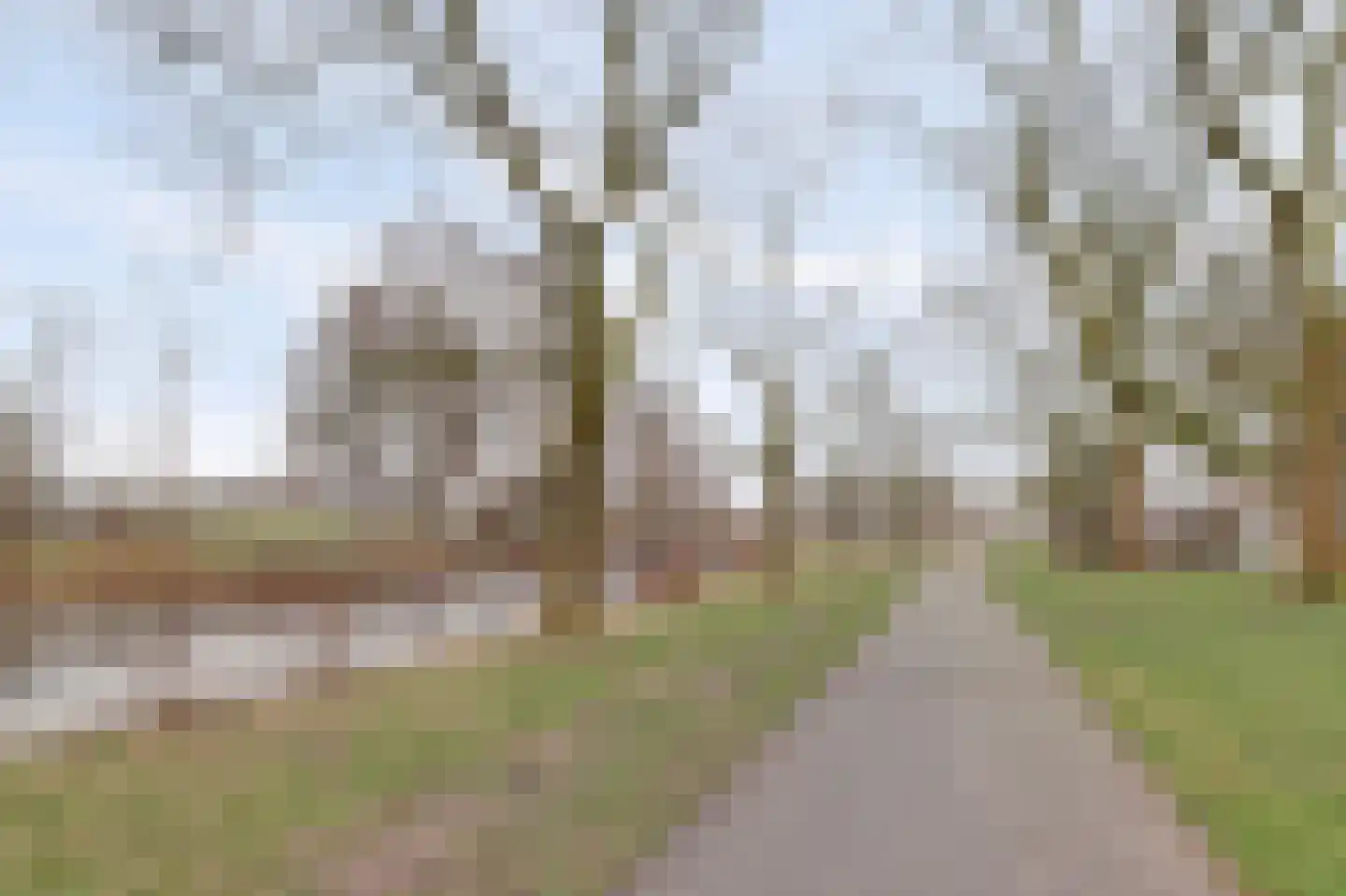 Gravekamp 8 in Huissen