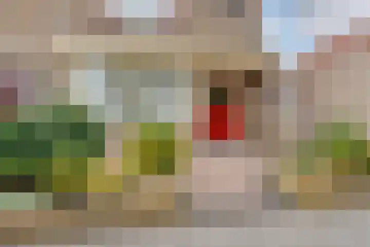Gravelandstraat 92 Volendam thumbnail 7