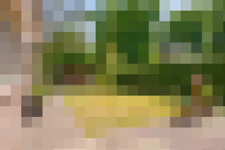 Gravenallee 5 Saasveld thumbnail 36
