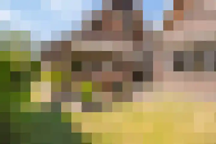 Gravenallee 5 Saasveld thumbnail 37