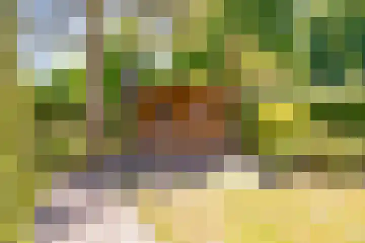 Gravenallee 5 Saasveld thumbnail 39