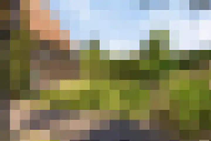 Gravenallee 5 Saasveld thumbnail 40