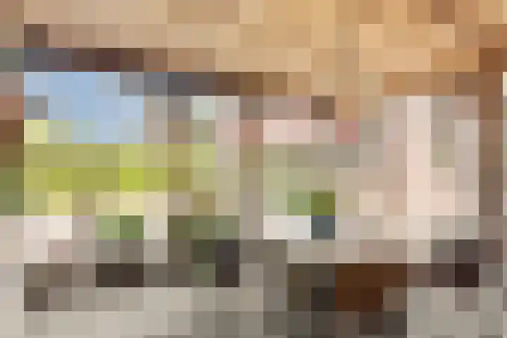 Gravenallee 5 Saasveld thumbnail 6