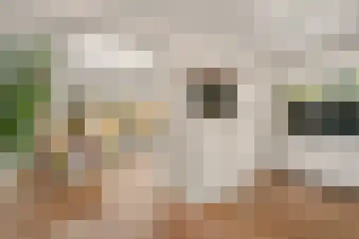 Gravenborch 56 Houten thumbnail 12