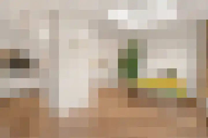 Gravenborch 56 Houten thumbnail 14
