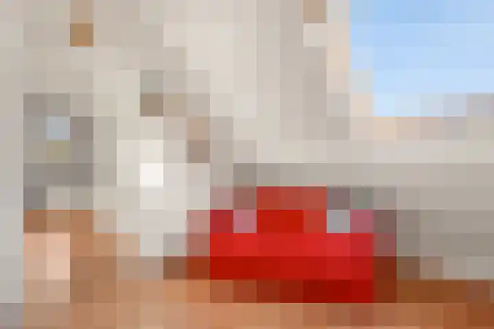 Gravenborch 56 Houten thumbnail 28