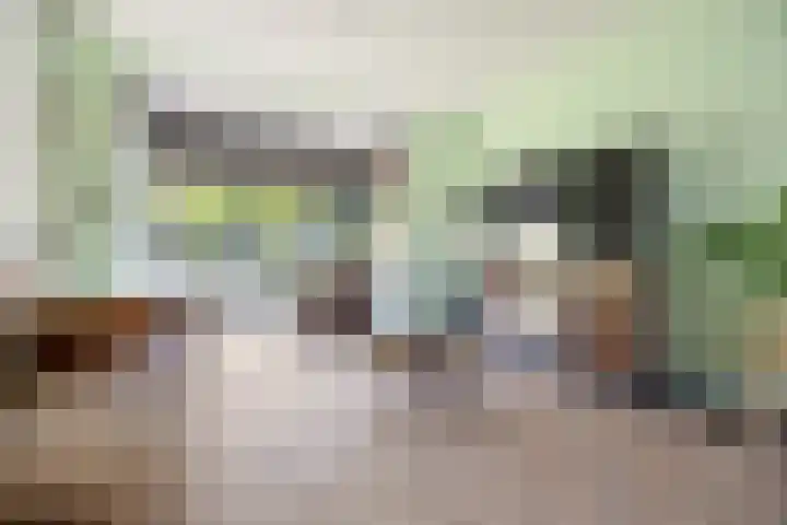 Gravendaal 11 Deest thumbnail 13