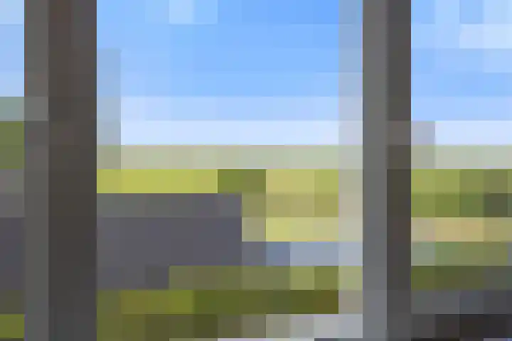 Gravendaal 11 Deest thumbnail 30