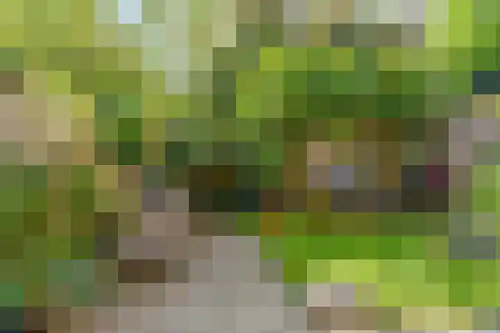 Gravenhof 17 Ede thumbnail 28
