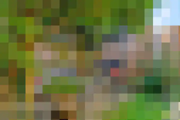 Gravenhof 17 Ede thumbnail 29